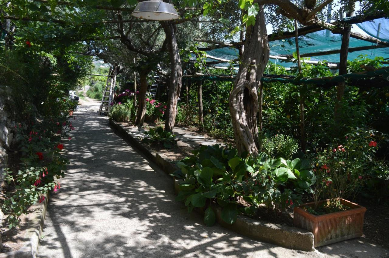 La Petra Villa Vico Equense Exteriör bild