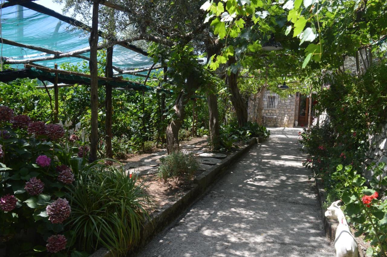 La Petra Villa Vico Equense Exteriör bild