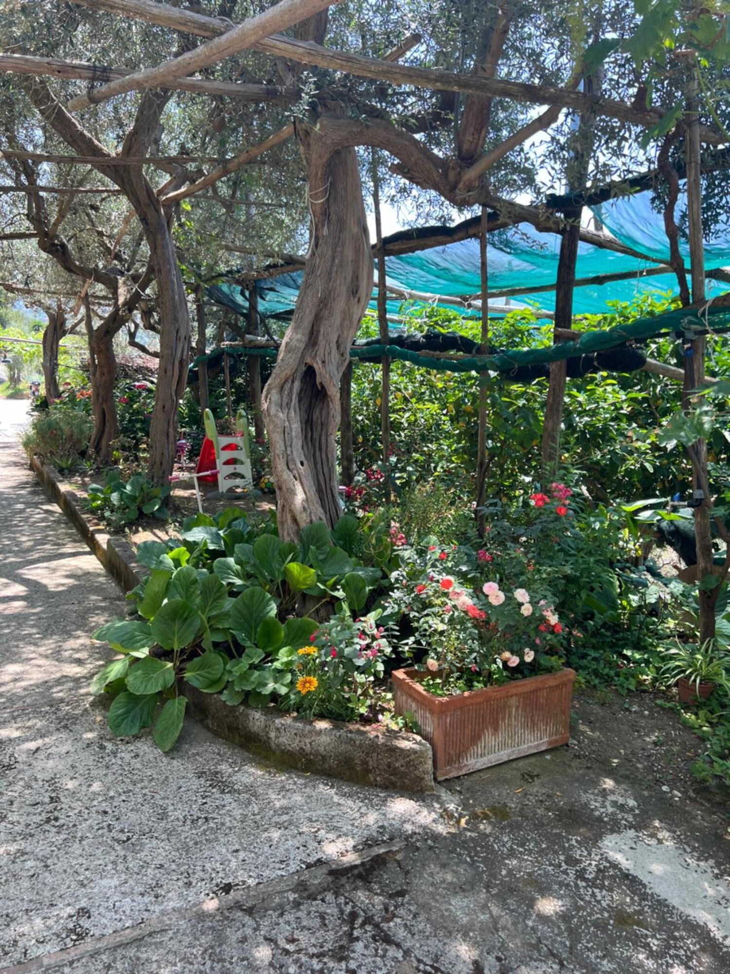 La Petra Villa Vico Equense Exteriör bild